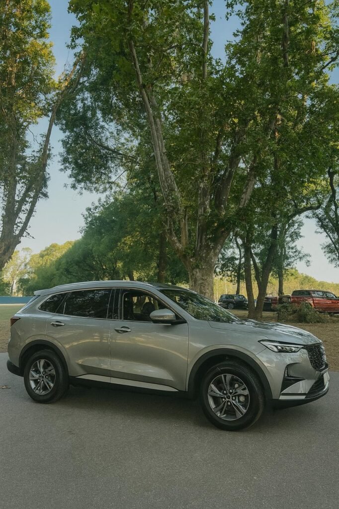 гид в аргентине, гид в буэнос айресес, круизы, круиз в аргентине, экскурсии буэнос айрес